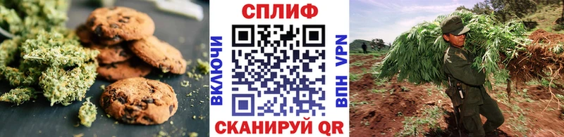 Cannafood конопля  Купить  Камызяк 