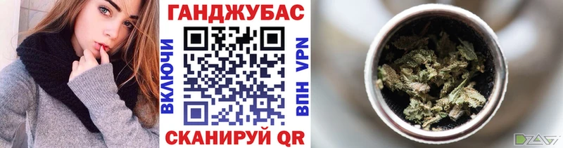 Канабис план  Купить где  Камызяк 